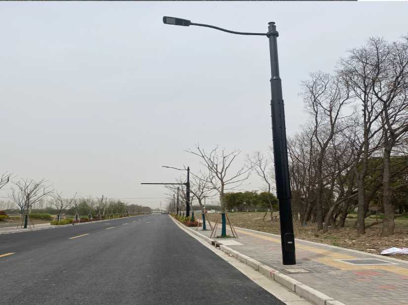 长寿区上海综合杆 太阳能路灯工程